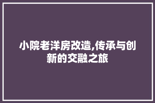小院老洋房改造,传承与创新的交融之旅 庭院装修