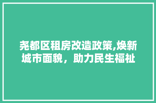 尧都区租房改造政策,焕新城市面貌，助力民生福祉