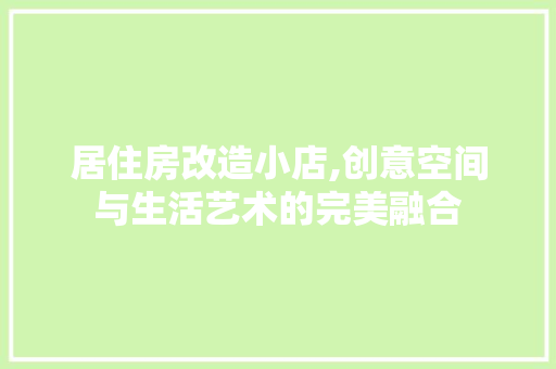 居住房改造小店,创意空间与生活艺术的完美融合