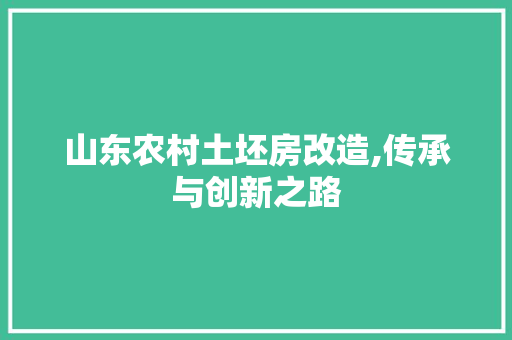 山东农村土坯房改造,传承与创新之路 墙面装饰
