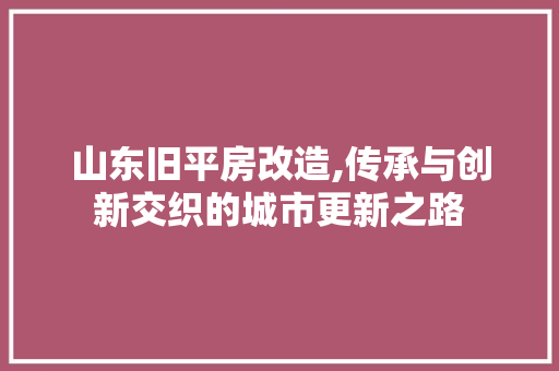 山东旧平房改造,传承与创新交织的城市更新之路