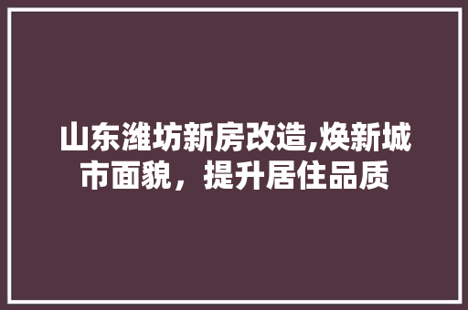 山东潍坊新房改造,焕新城市面貌，提升居住品质 建筑设计