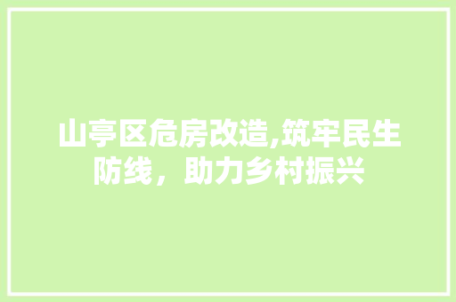 山亭区危房改造,筑牢民生防线,助力乡村振兴