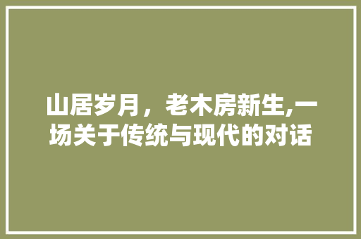 山居岁月，老木房新生,一场关于传统与现代的对话 门窗装修