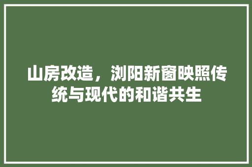 山房改造,浏阳新窗映照传统与现代的和谐共生