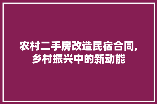 农村二手房改造民宿合同,乡村振兴中的新动能 门窗装修
