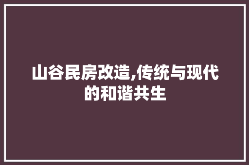 山谷民房改造,传统与现代的和谐共生 庭院装修