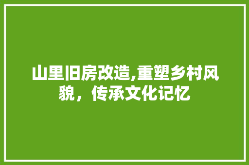 山里旧房改造,重塑乡村风貌，传承文化记忆