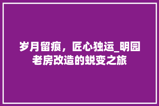 岁月留痕，匠心独运_明园老房改造的蜕变之旅 墙面装饰
