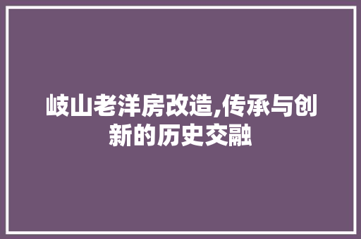 岐山老洋房改造,传承与创新的历史交融 隔断设计
