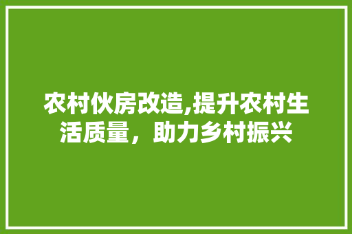 农村伙房改造,提升农村生活质量，助力乡村振兴 庭院装修