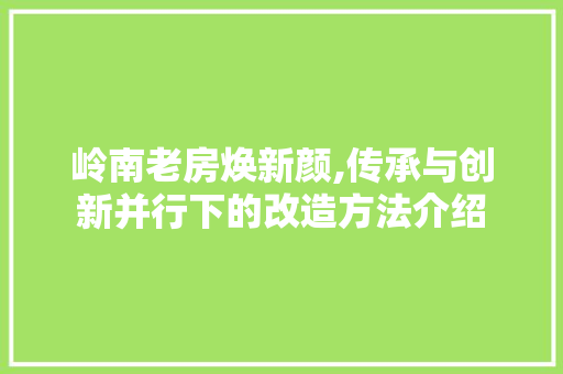 岭南老房焕新颜,传承与创新并行下的改造方法介绍 装修攻略
