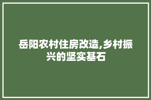 岳阳农村住房改造,乡村振兴的坚实基石