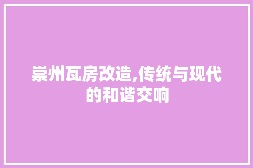 崇州瓦房改造,传统与现代的和谐交响 景观设计