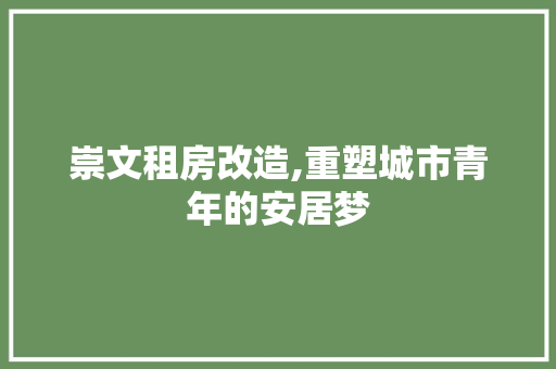 崇文租房改造,重塑城市青年的安居梦 隔断设计
