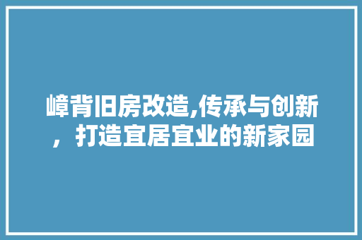嶂背旧房改造,传承与创新，打造宜居宜业的新家园