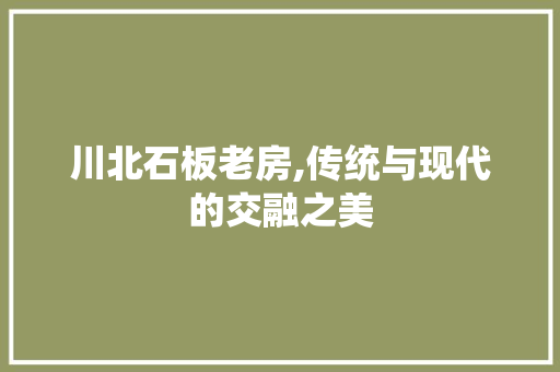 川北石板老房,传统与现代的交融之美