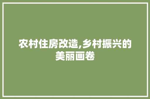 农村住房改造,乡村振兴的美丽画卷 地面装修