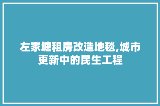 左家塘租房改造地毯,城市更新中的民生工程