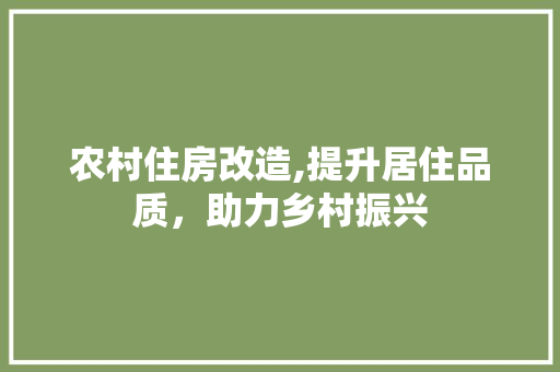 农村住房改造,提升居住品质，助力乡村振兴 装修材料