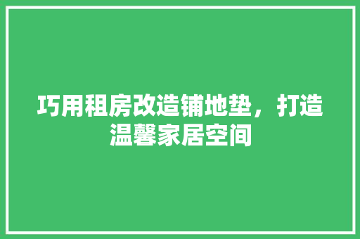 巧用租房改造铺地垫，打造温馨家居空间 门窗装修
