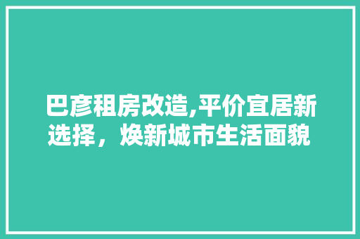 巴彦租房改造,平价宜居新选择，焕新城市生活面貌 隔断设计