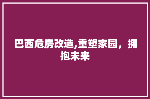 巴西危房改造,重塑家园,拥抱未来
