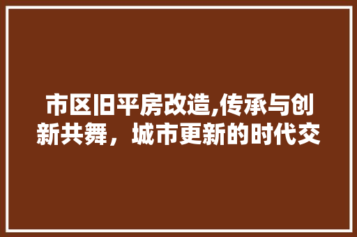 市区旧平房改造,传承与创新共舞，城市更新的时代交响