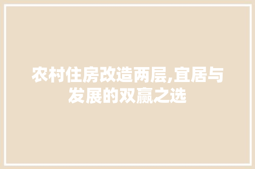 农村住房改造两层,宜居与发展的双赢之选 墙面装饰