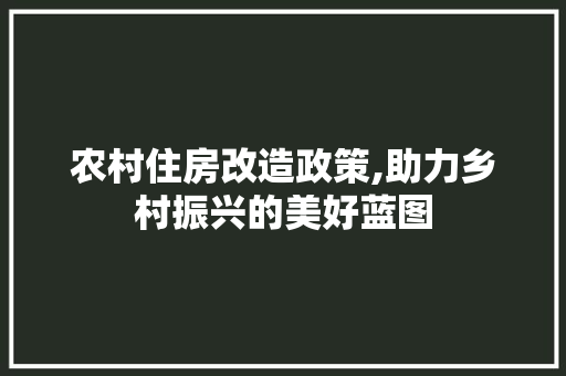 农村住房改造政策,助力乡村振兴的美好蓝图