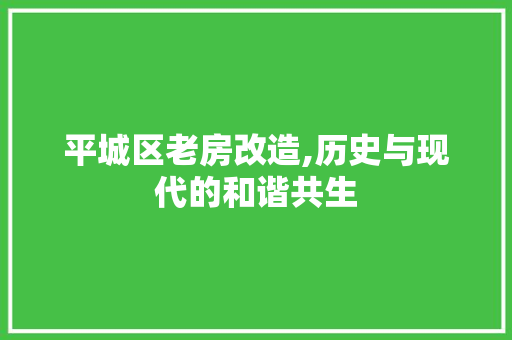 平城区老房改造,历史与现代的和谐共生 地面装修