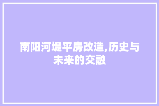 南阳河堤平房改造,历史与未来的交融