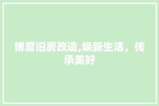 博爱旧房改造,焕新生活，传承美好