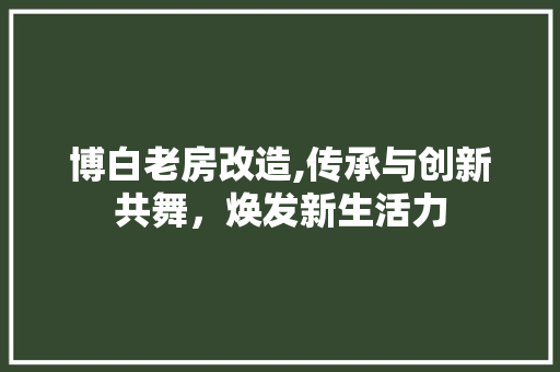 博白老房改造,传承与创新共舞，焕发新生活力