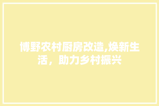 博野农村厨房改造,焕新生活，助力乡村振兴