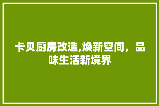卡贝厨房改造,焕新空间，品味生活新境界 装修攻略