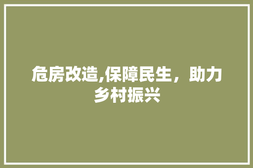 危房改造,保障民生，助力乡村振兴 装修攻略