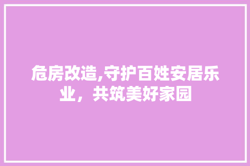危房改造,守护百姓安居乐业，共筑美好家园 隔断设计