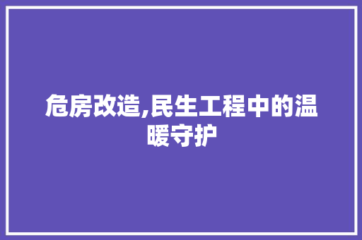危房改造,民生工程中的温暖守护