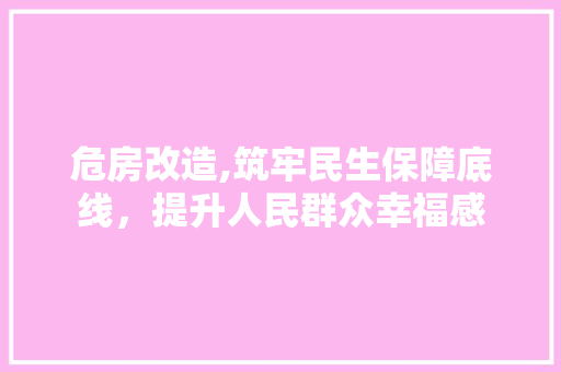危房改造,筑牢民生保障底线，提升人民群众幸福感