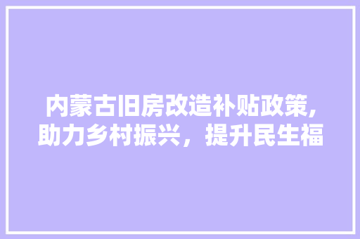 内蒙古旧房改造补贴政策,助力乡村振兴，提升民生福祉