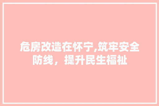 危房改造在怀宁,筑牢安全防线，提升民生福祉