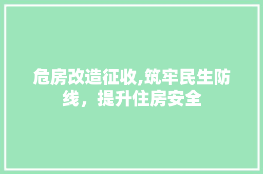 危房改造征收,筑牢民生防线，提升住房安全 墙面装饰