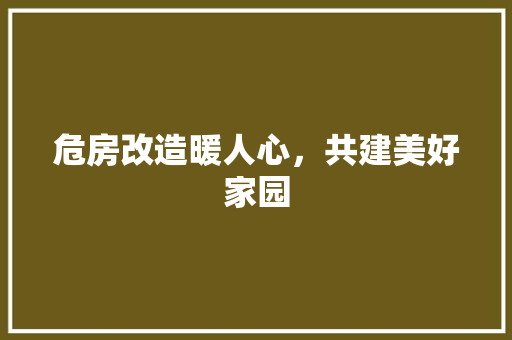 危房改造暖人心，共建美好家园 装修攻略