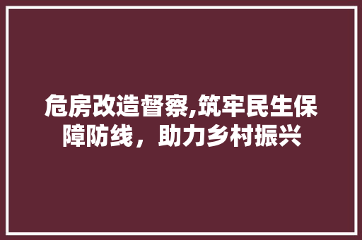 危房改造督察,筑牢民生保障防线，助力乡村振兴 庭院装修