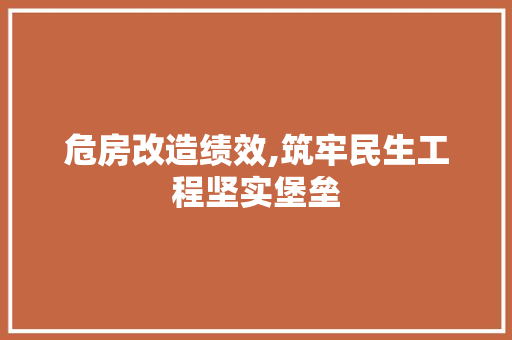 危房改造绩效,筑牢民生工程坚实堡垒