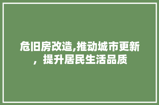危旧房改造,推动城市更新，提升居民生活品质