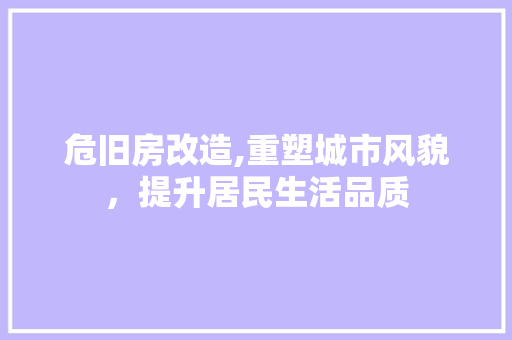 危旧房改造,重塑城市风貌，提升居民生活品质