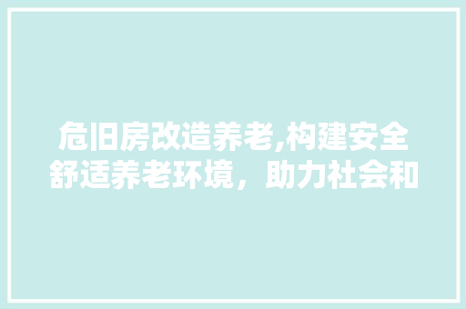 危旧房改造养老,构建安全舒适养老环境，助力社会和谐发展 建筑设计