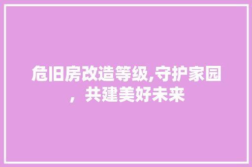 危旧房改造等级,守护家园，共建美好未来 门窗装修